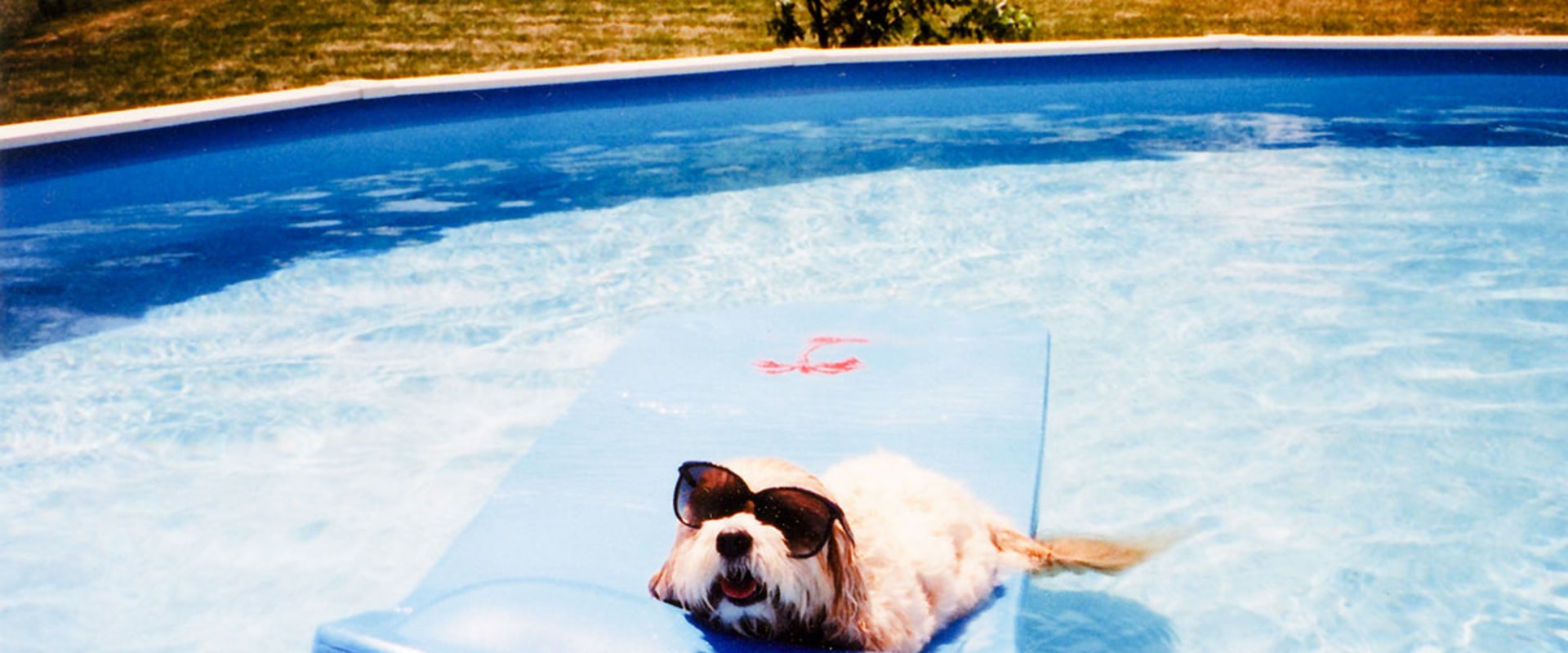 Can vacation days roll over?