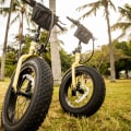 See More, Do More: Vacation Activities Made Easy With Waikiki E-Bike Rentals