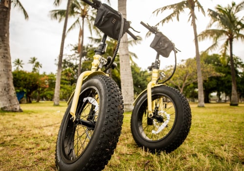 See More, Do More: Vacation Activities Made Easy With Waikiki E-Bike Rentals