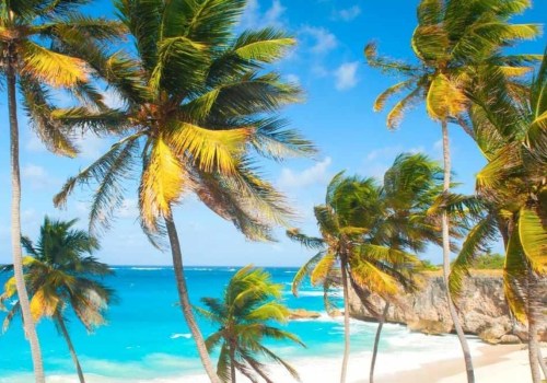 A Tropical Paradise: Why Barbados Should Be Your Next Destination For Vacation Activities